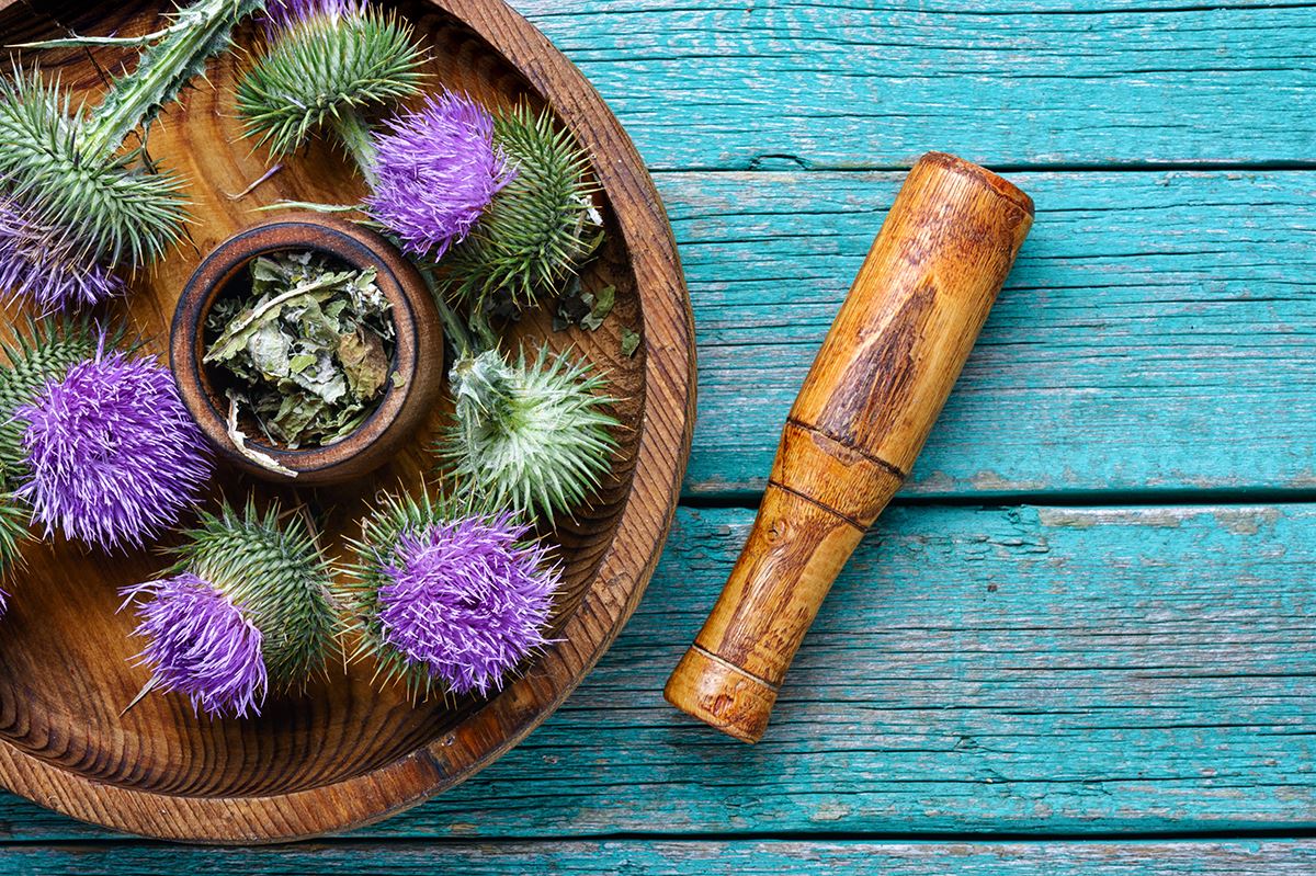 What Are the Benefits of Milk Thistle?